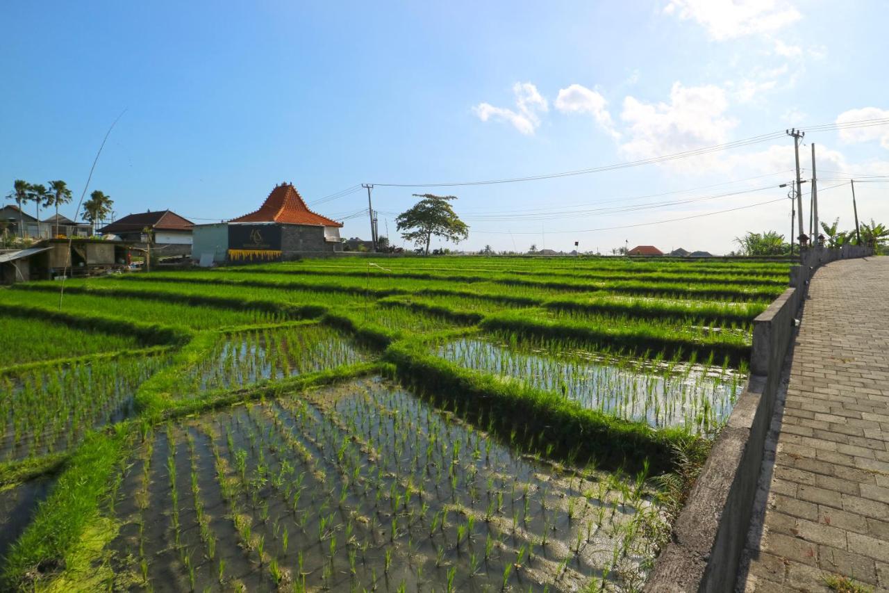 Pererenan Nengah Guest House Canggu Exterior foto